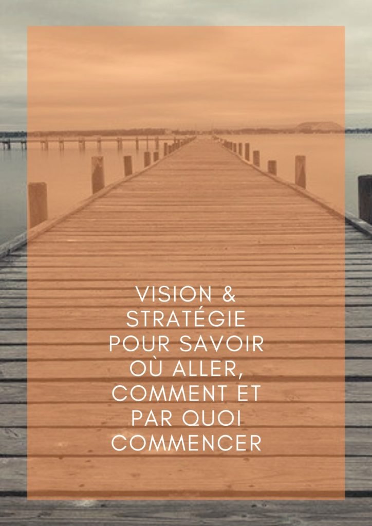 Vision et Stratégie pour savoir où aller, comment et par quoi commencer - ClientauCoeur.com / Lidia Boutaghane